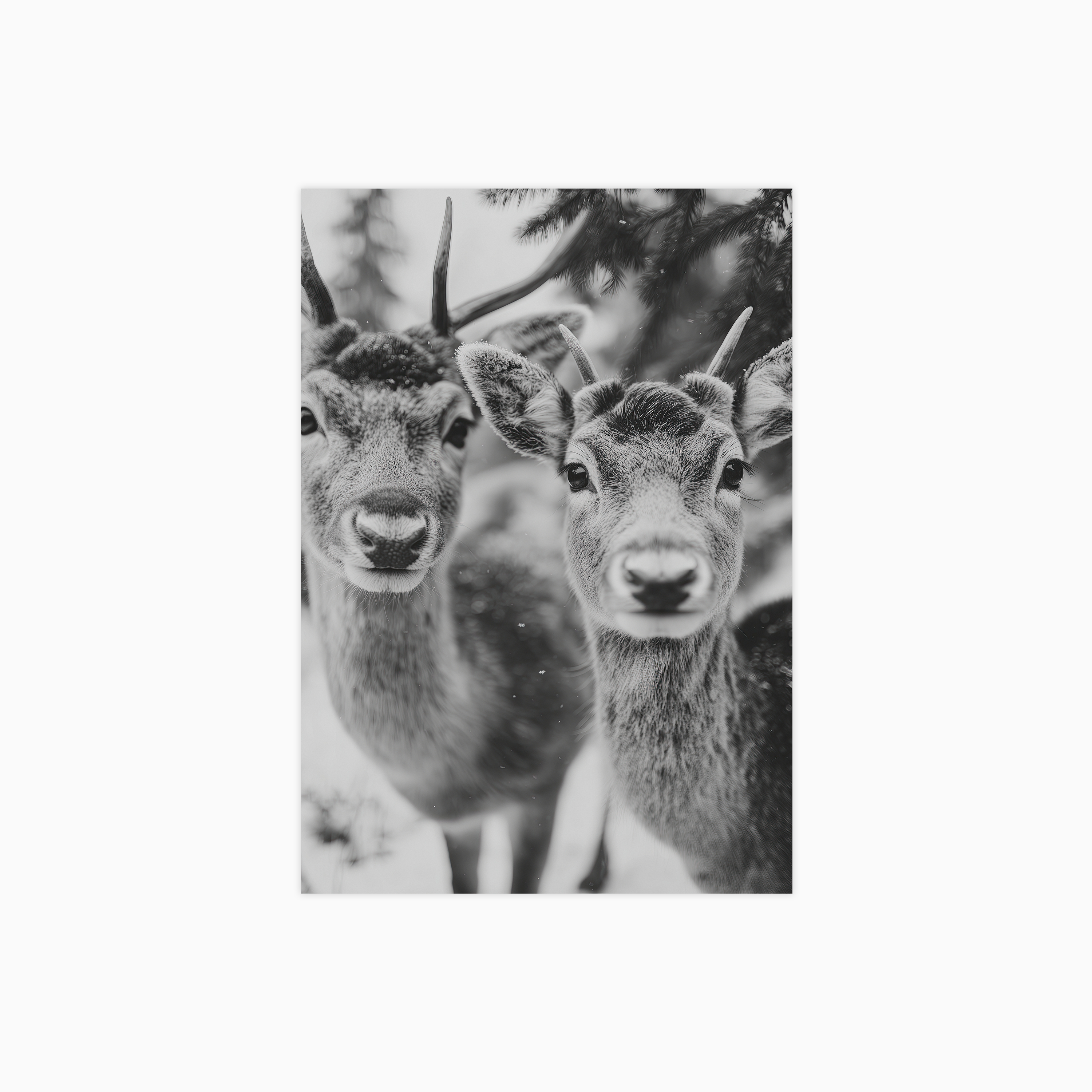 Winter Spirit No 01 Poster