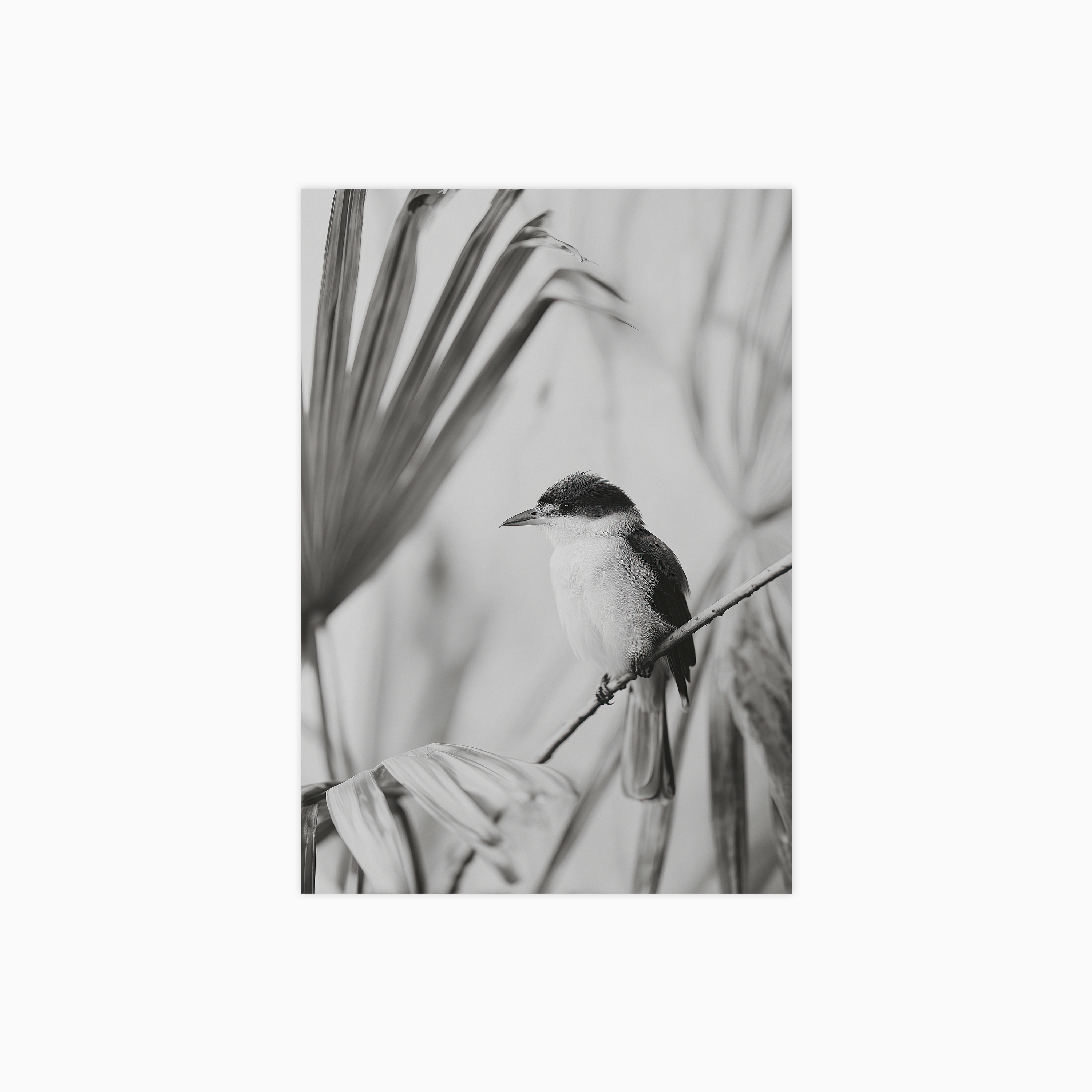 Exotic Bird No 01 Poster