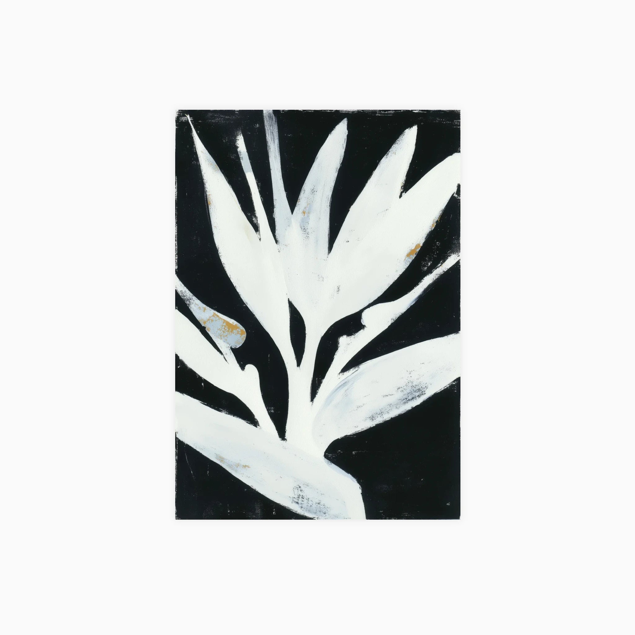 Bird of Paradise Poster