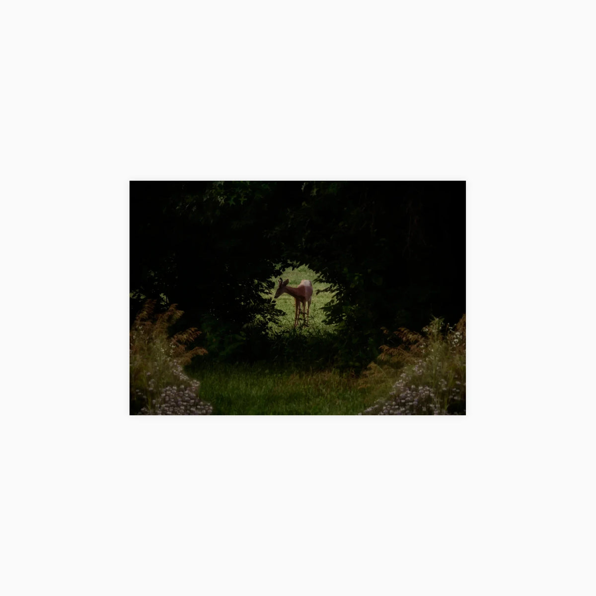 Secret Meadow Poster