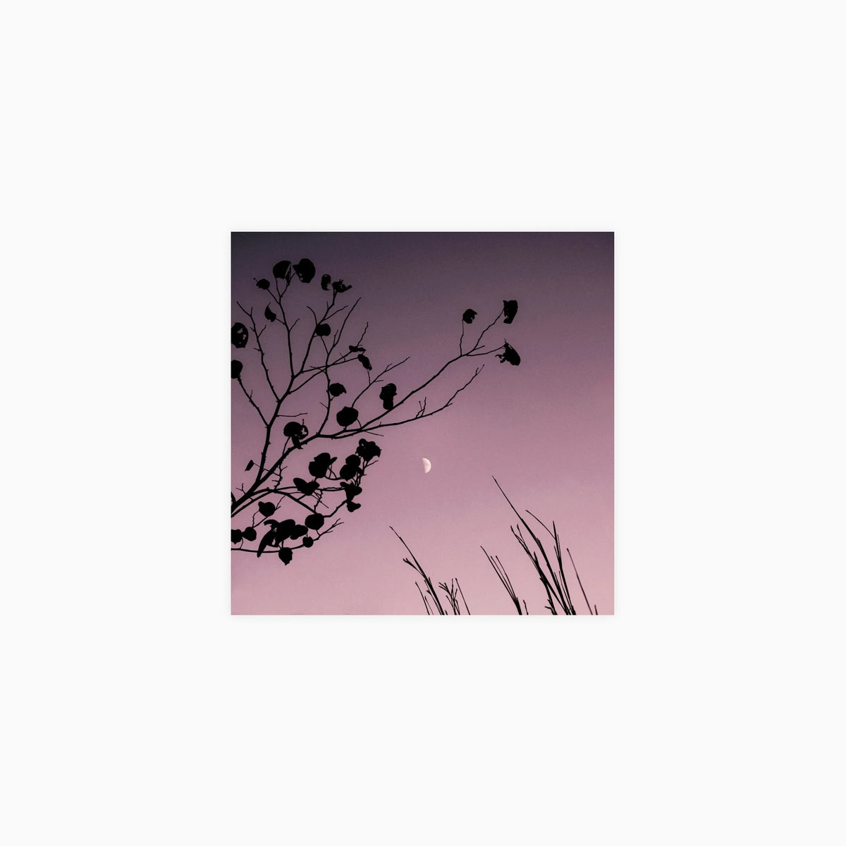 Autumn Moon Poster