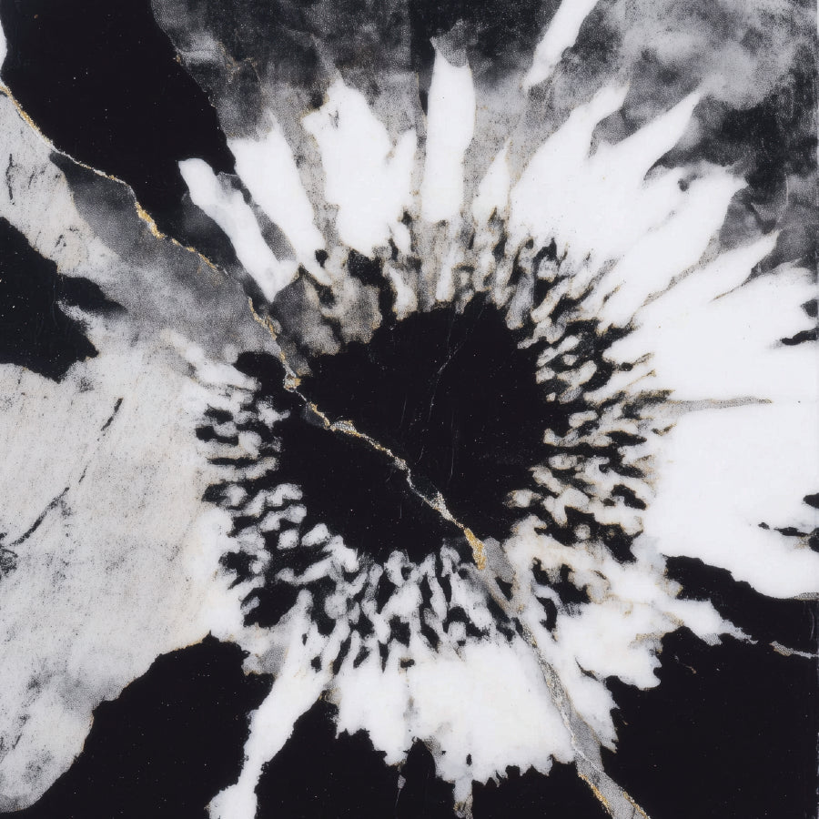 Chromatic Storm Studio