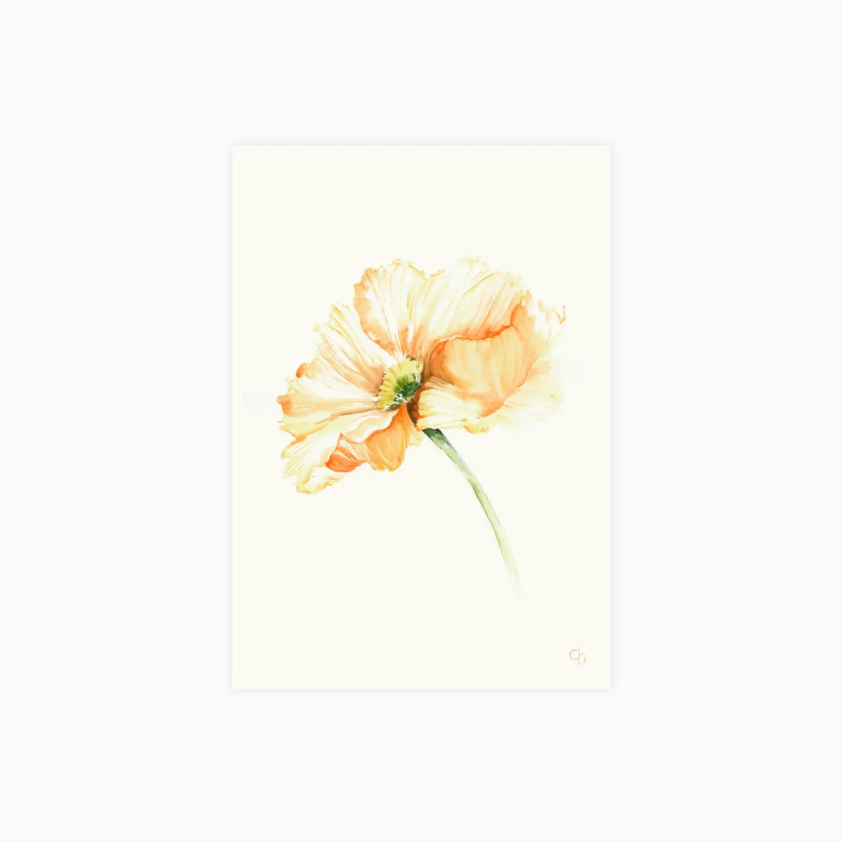 Warm petal Poster