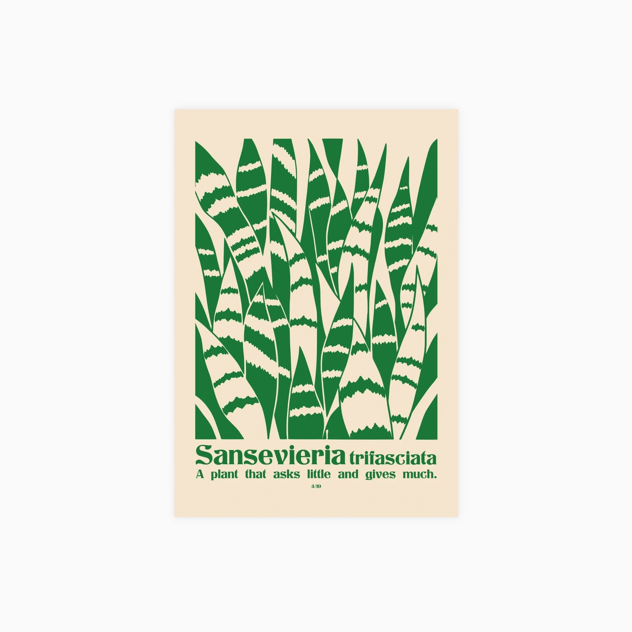Snake Plant Botanical Poster