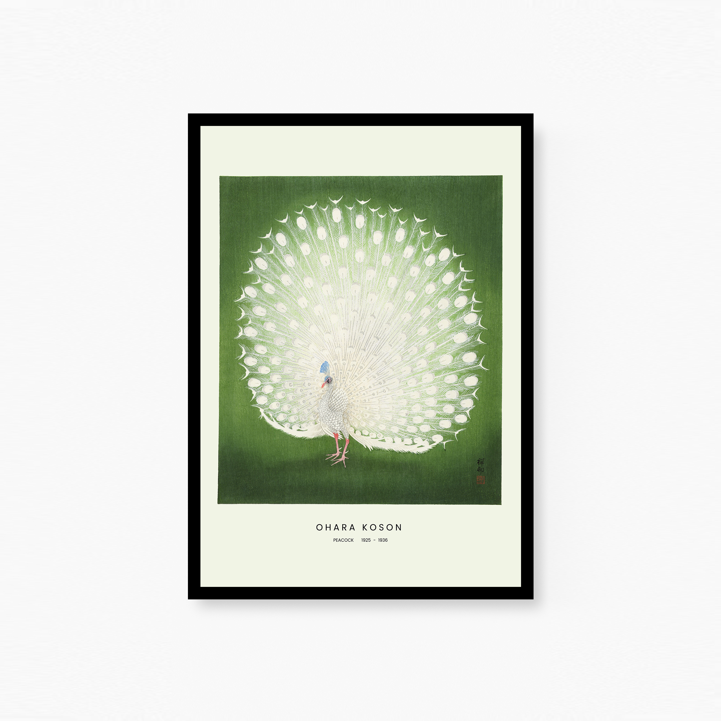 Peacock Poster