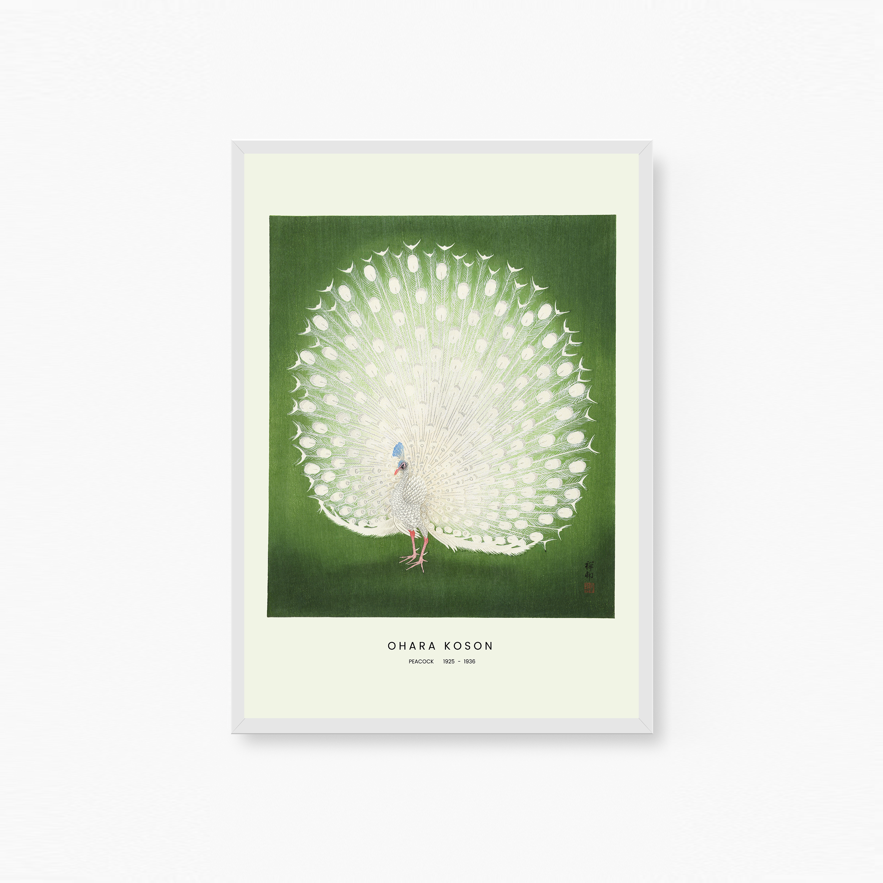 Peacock Poster