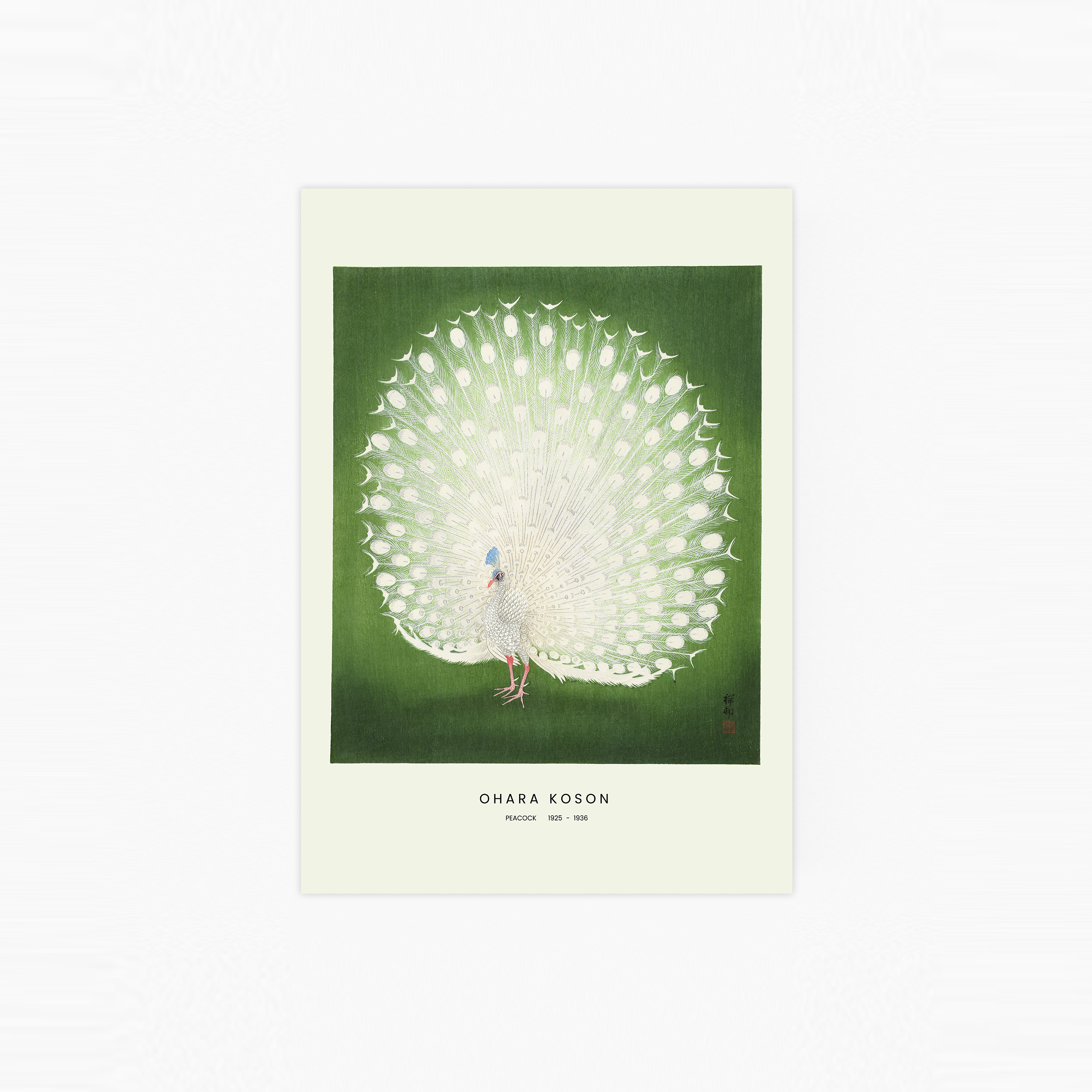 Peacock Poster