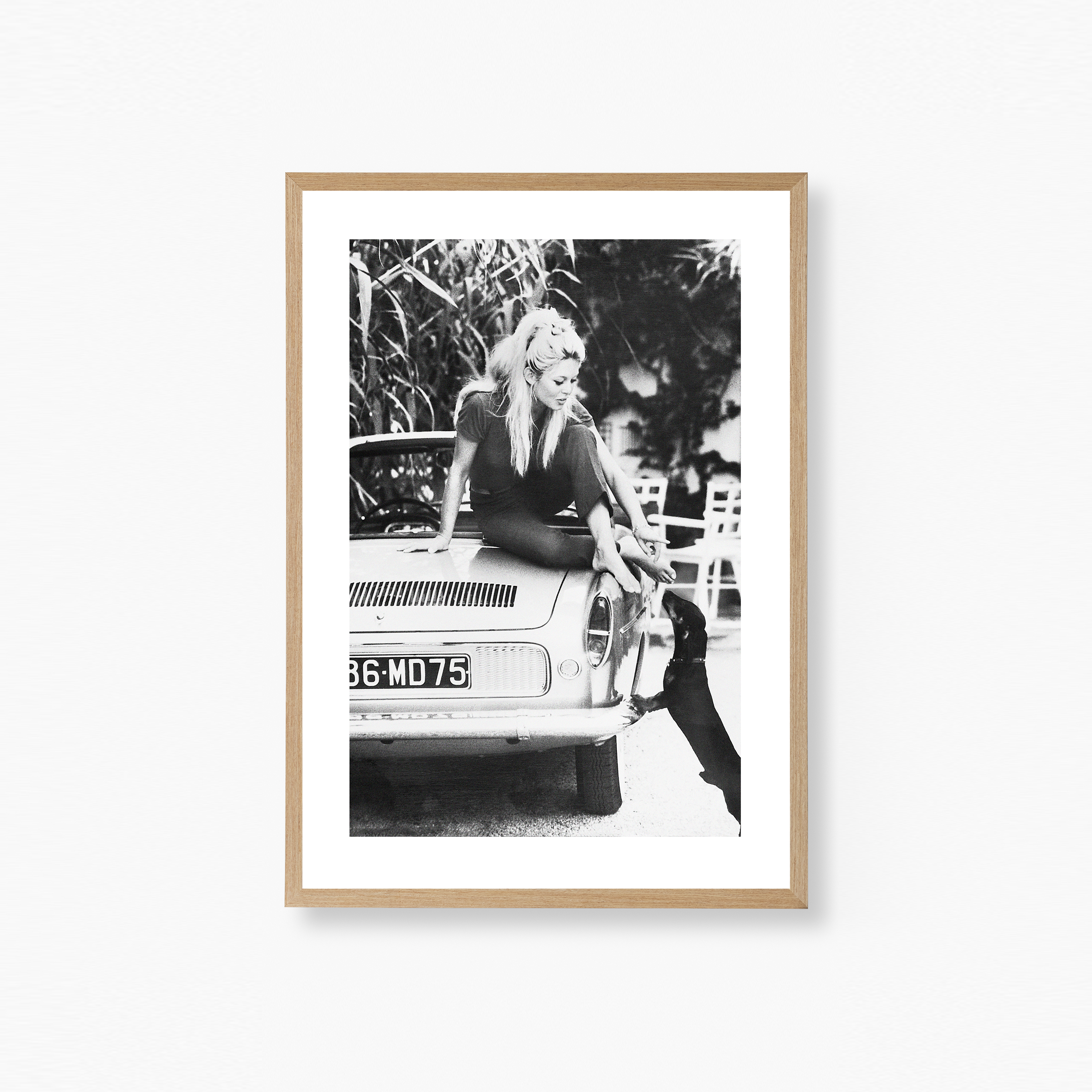 Brigitte Bardot Poster