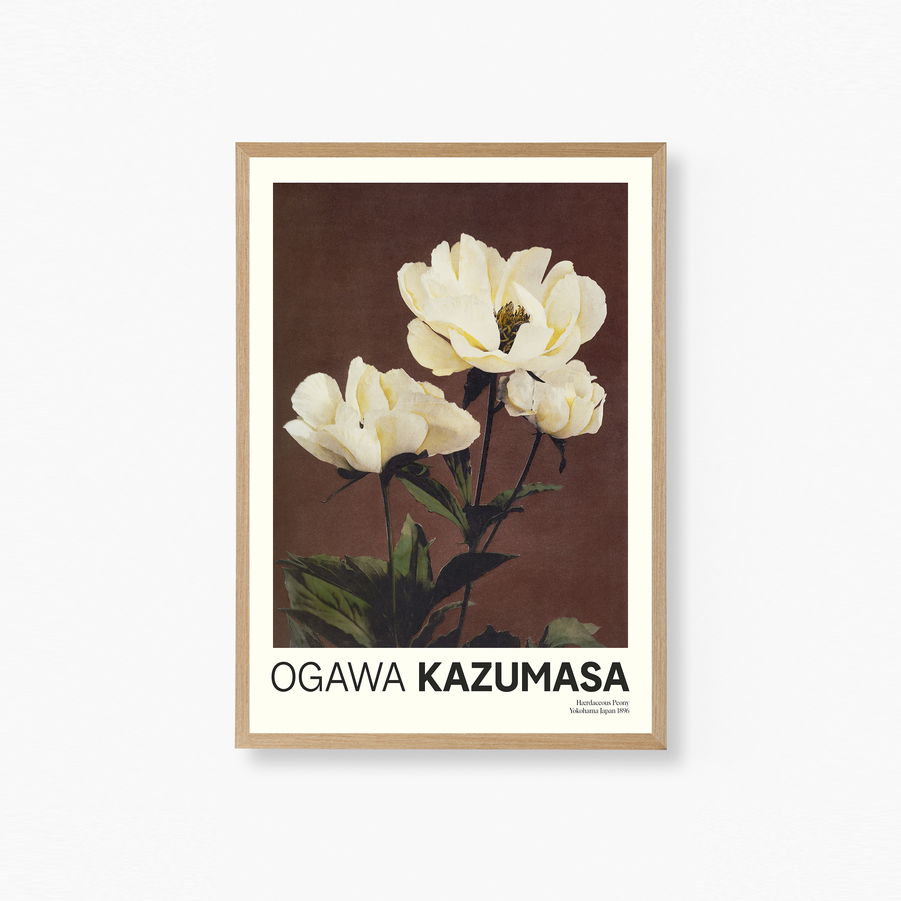 Hærdacious Peony Poster