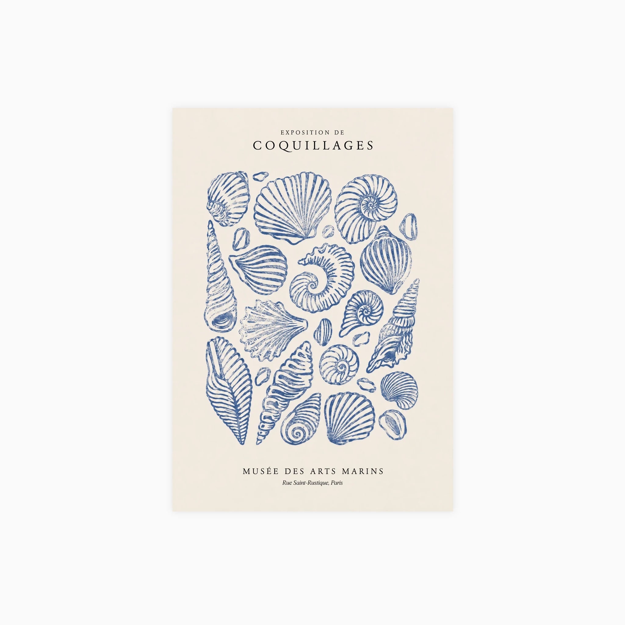 Coquillages Poster