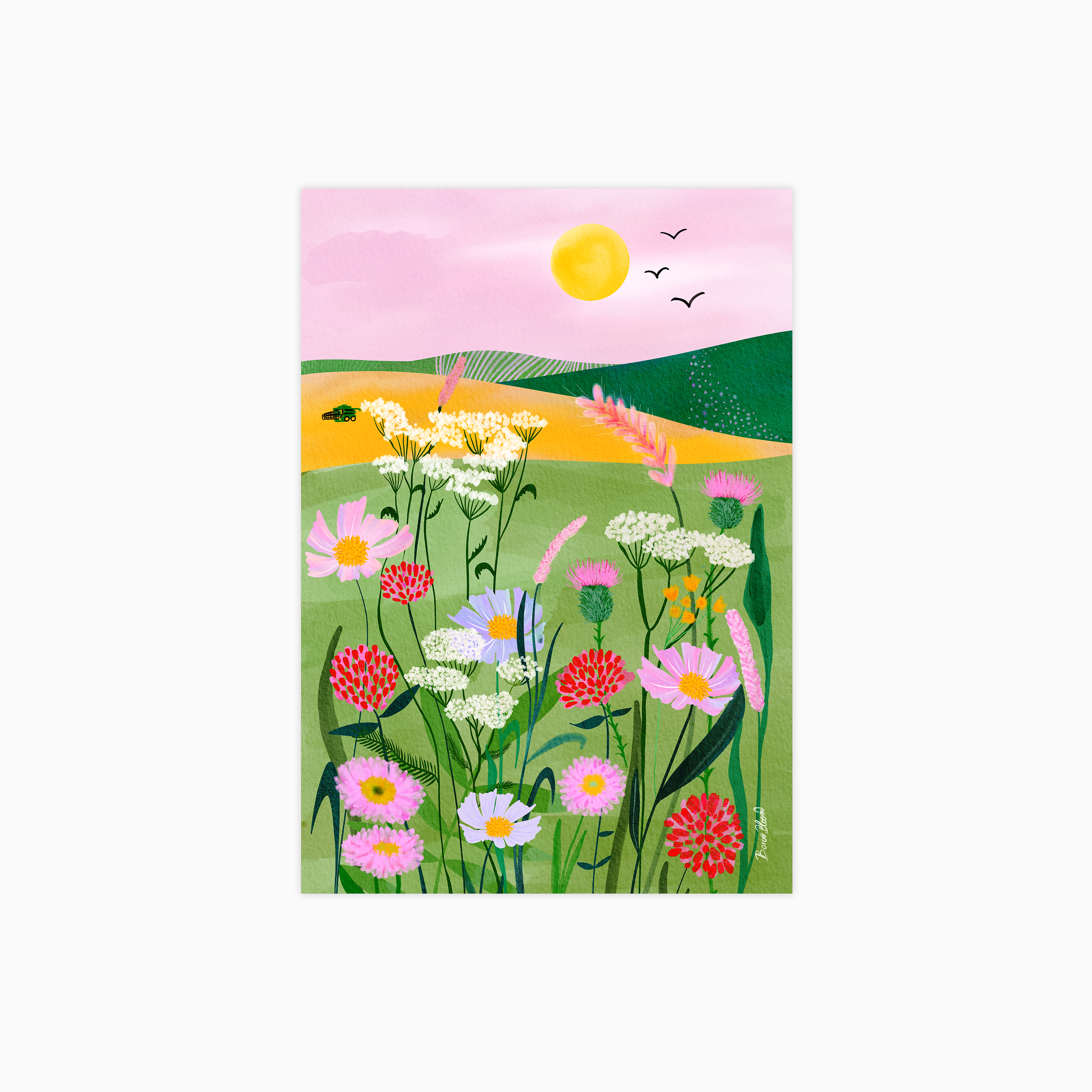 Summer Fields and Blooms Plakat
