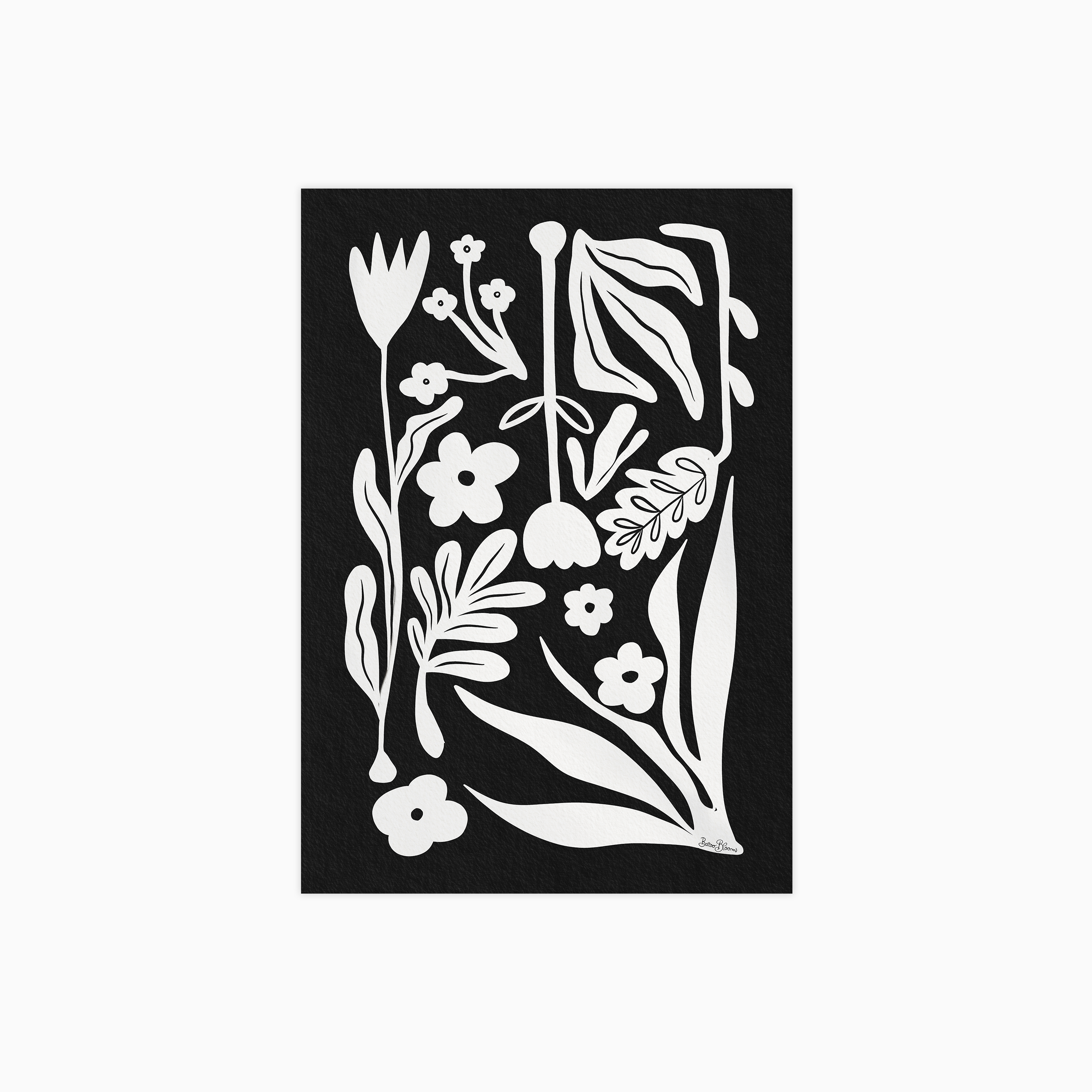 Black & White Botanicals Plakat