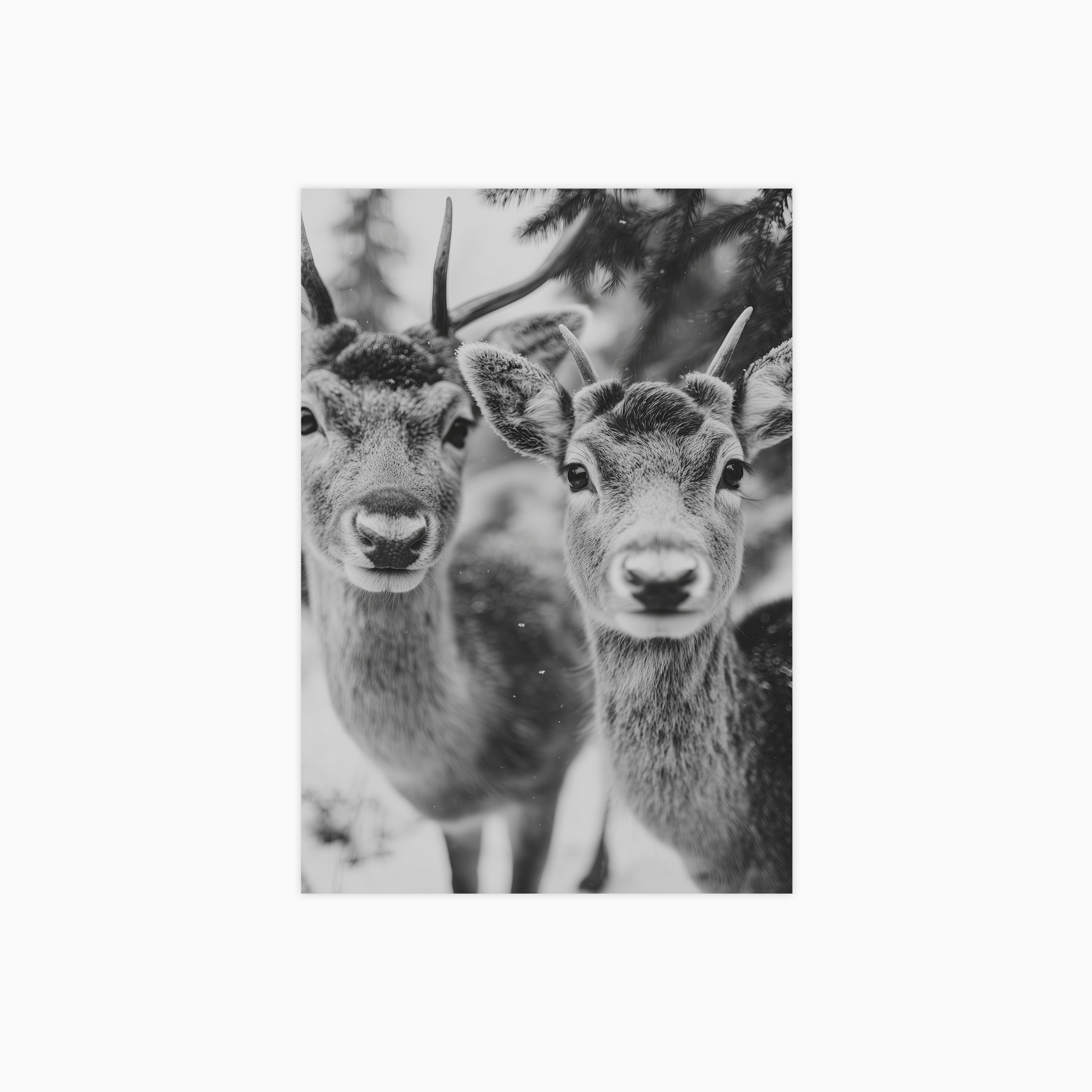 Winter Spirit No 01 Poster