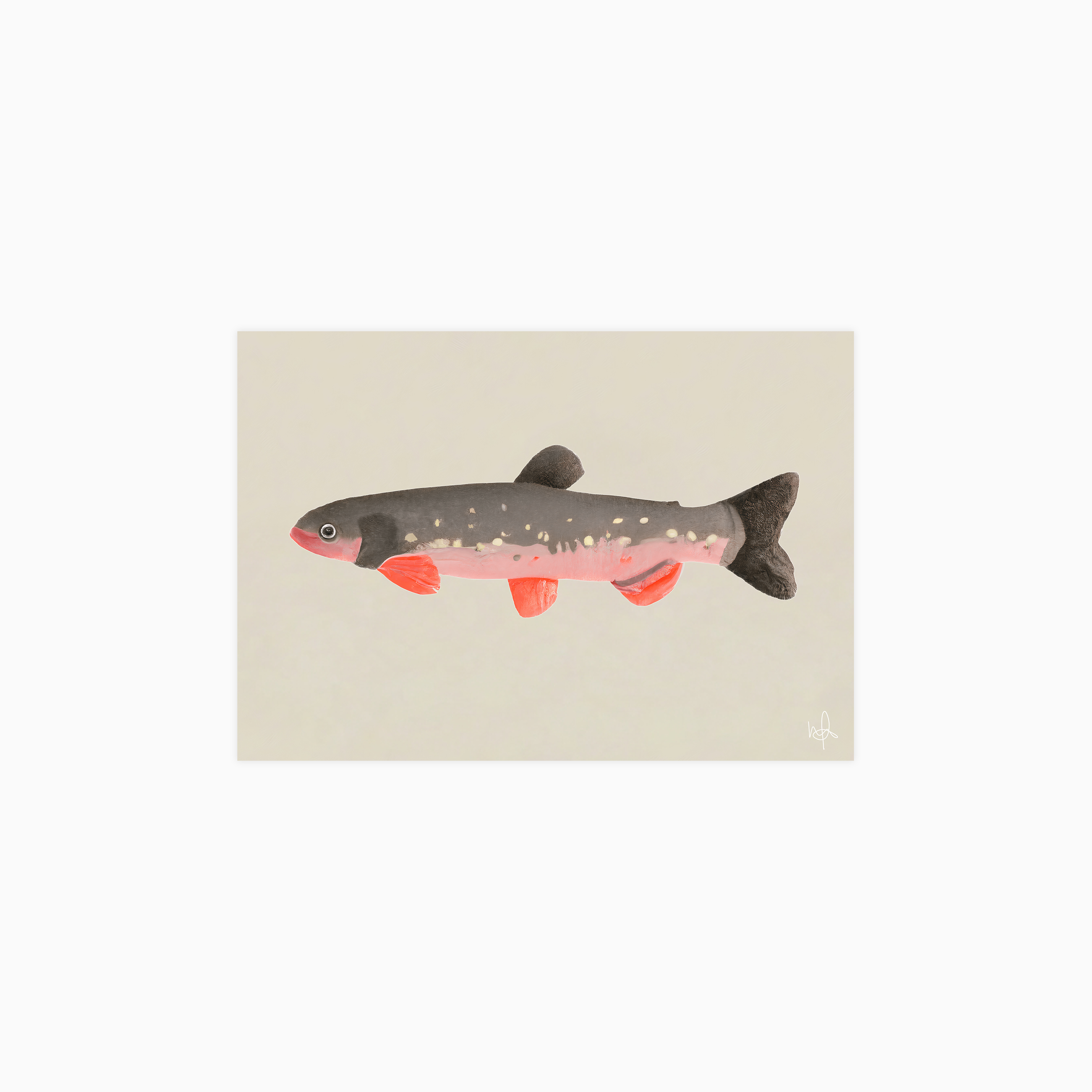 Still Fishy Poster