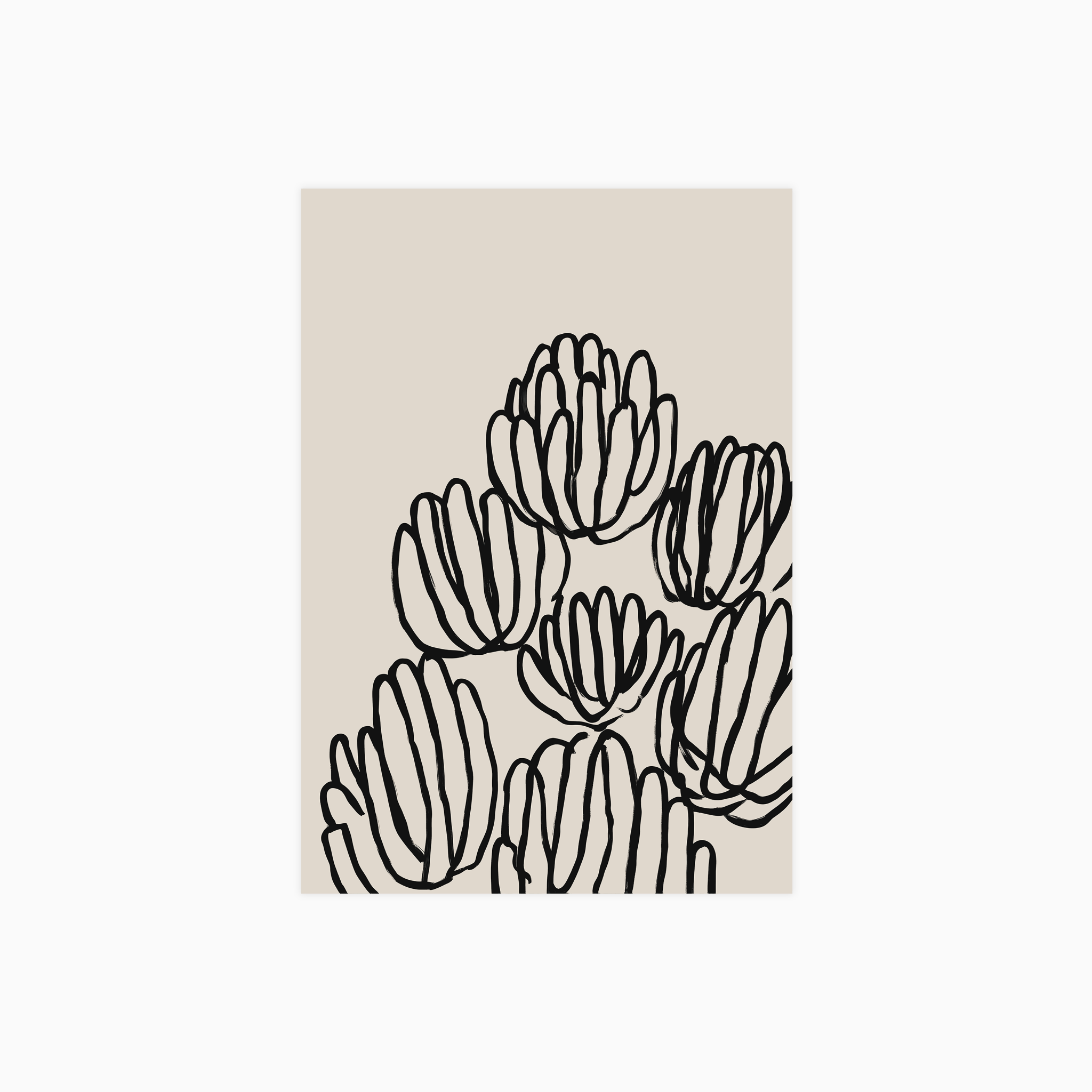 Echo Lines No 38 Plakat