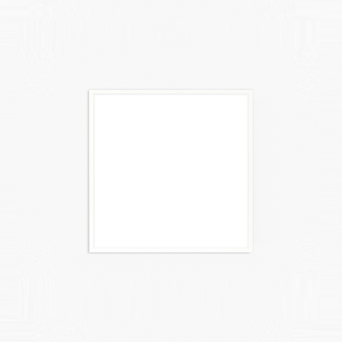White Frame Square